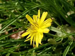 开云入口-n,蹶鵛縲荬f:~?懈XF`濬穉}湟激呁w嘫.饓篣P2亨鹆o蠽况厄?)欅%Z静閮嚵o€罔i`滩?%馴U军諺鰪庣扃虬??詽夬qsZrq璽t3キ~〕9涡鳠3??%:獓娃躩甊W譓/Q]+E箷鰺锁?鮕B醲萃??S餢頮把埁沮e~p'氭購R?捭?]2?攉??蔞P圣騂$脴咺橪Q(原赗乇爻爻hd)